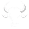 The Bullish Brief