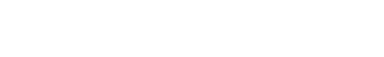 The Bullish Brief