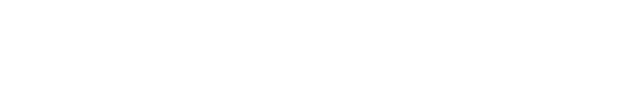 The Bullish Brief